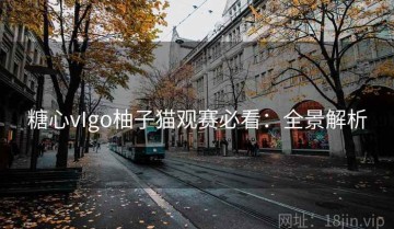 糖心vIgo柚子猫观赛必看：全景解析