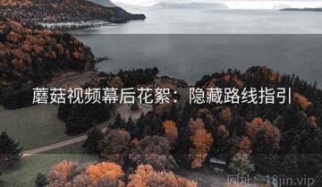 蘑菇视频幕后花絮：隐藏路线指引