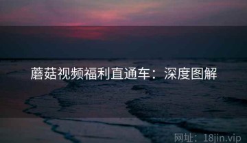 蘑菇视频福利直通车：深度图解