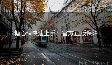 糖心tv快速上手：官方正版保障