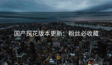 国产探花版本更新：粉丝必收藏