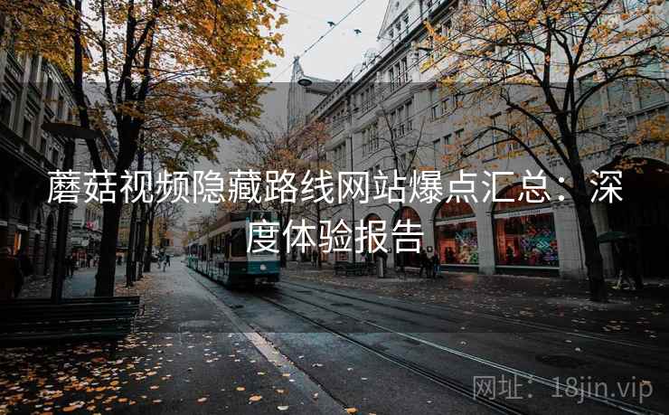 蘑菇视频隐藏路线网站爆点汇总：深度体验报告