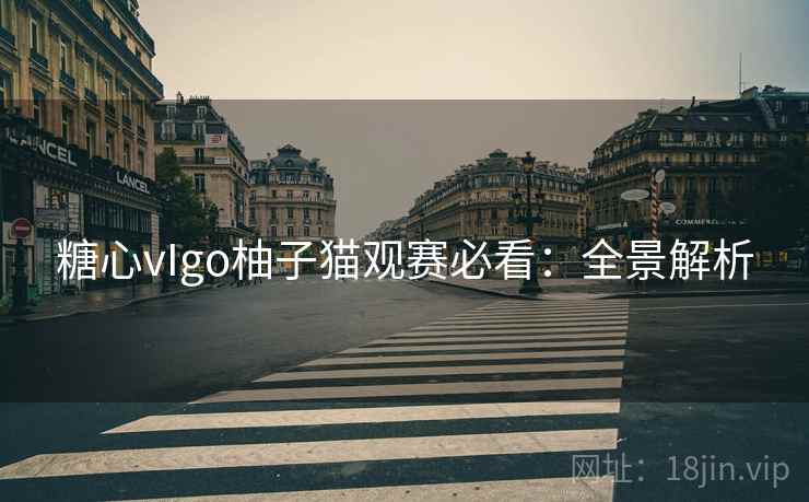 糖心vIgo柚子猫观赛必看:全景解析 糖心vIgo柚子猫观赛必看:全景解析